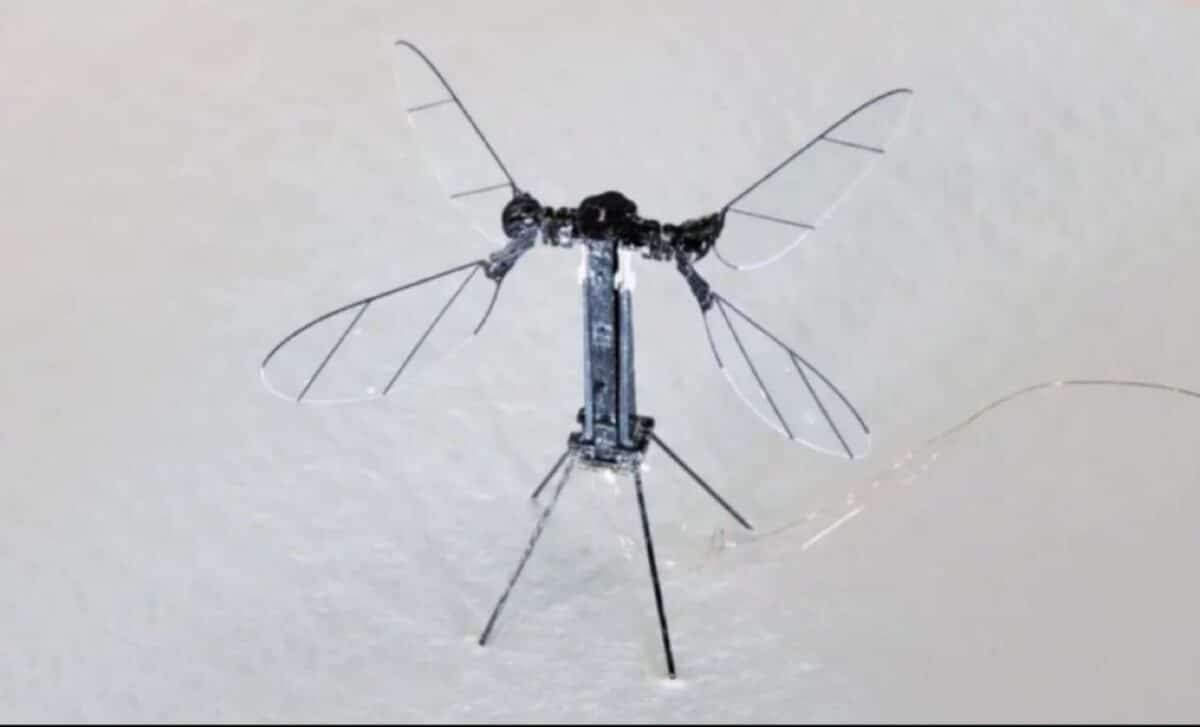 Chaina's mosquito-sized drone