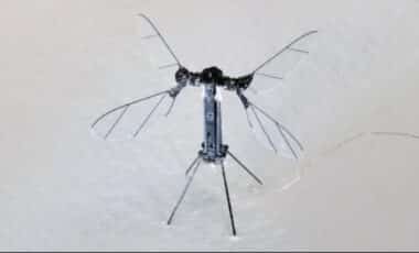 Chaina's mosquito-sized drone