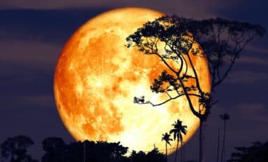 super buck moon on night red sky