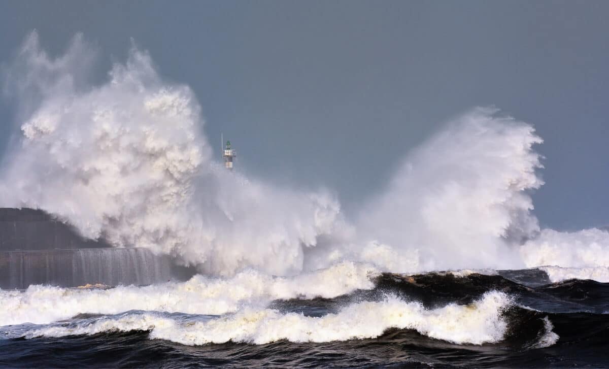 Tsunami wave